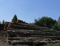 Camion de bois en grume – Hêtre, Chêne, Charme – 20 Stères