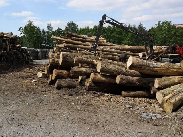 Camion de bois ultra sec en grume – Hêtre, Chêne, Charme – 30 stères